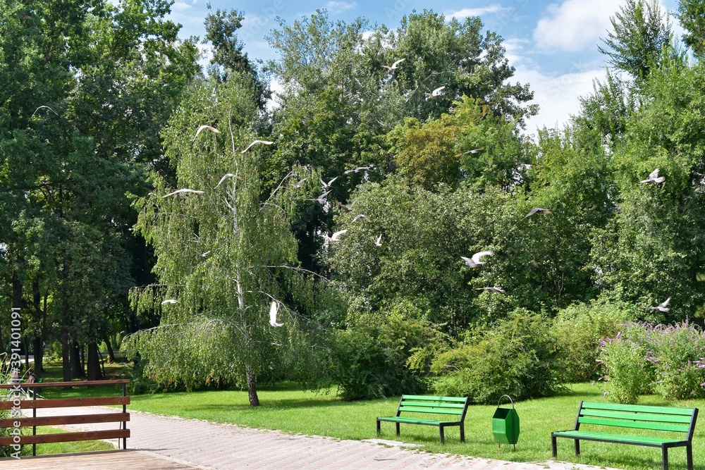 Fototapeta premium View of a park on a sunny day, Botanical garden, Moldova