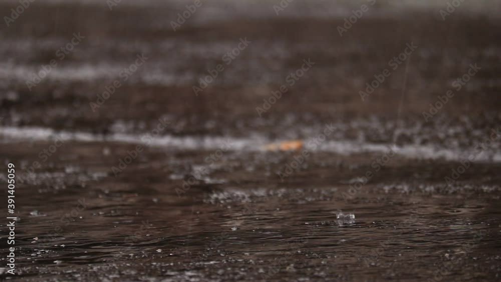 大雨 アスファルト道路に降る強い雨 豪雨 クローズアップ 大雨 アスファルト道路に降る強い雨 豪雨 クローズアップ