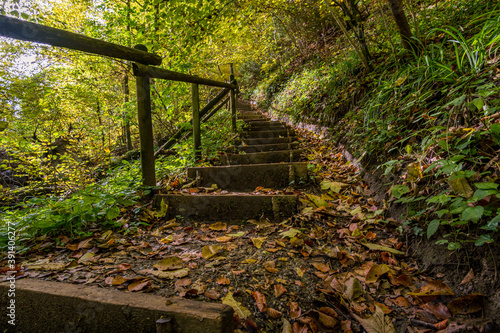 Fantastic autumn hike along the Aachtobel to the Hohenbodman observation tower