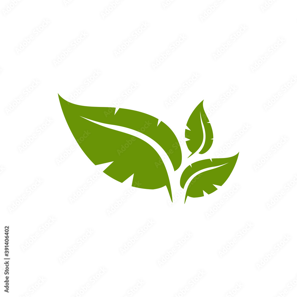 Leaf icon logo design template Leaf icon logo design template