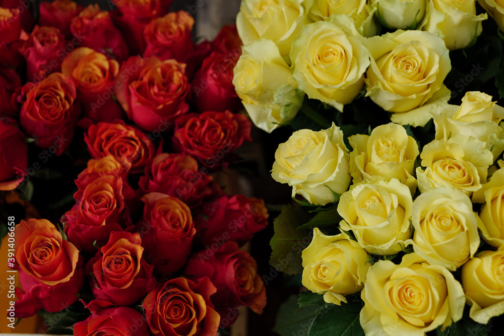 Moody tone, close-up view of various colourful red and yellow blooming roses backdrop at florist. Vivid pastel flower in bloom. Blossom roses for Valentine day.