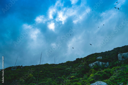 Clouds, birds and mountains