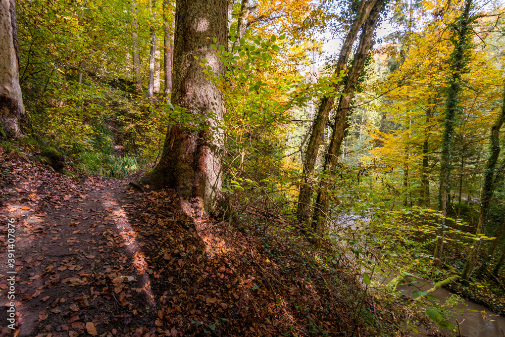 Fantastic autumn hike along the Aachtobel to the Hohenbodman observation tower