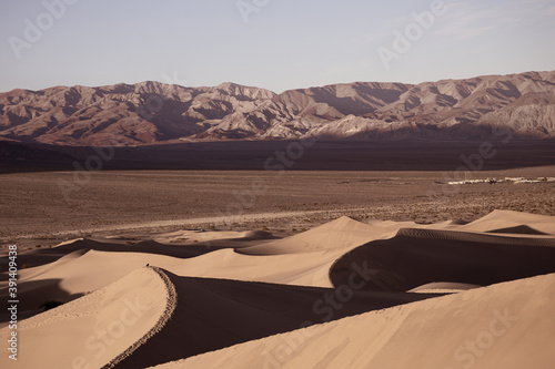 sand dunes in the desert