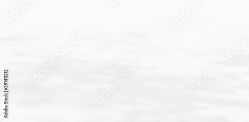 Abstract shadows nature. Gray shadows trees leaf on white wall. Concept blurred background.White and Black.Texture shadows  © wilawan