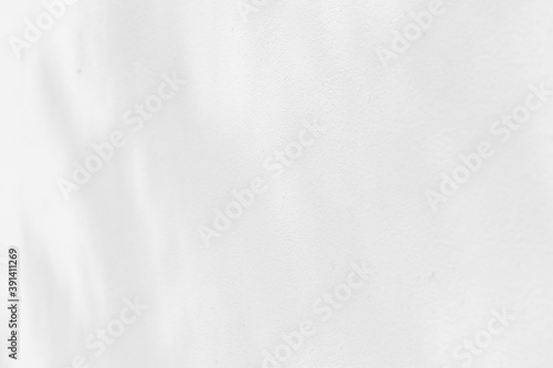 Background and Nature shadows. Rough gray shadows trees leaf on white wall. Abstract shadows nature concept blurred background. White and Black. Texture shadows. 