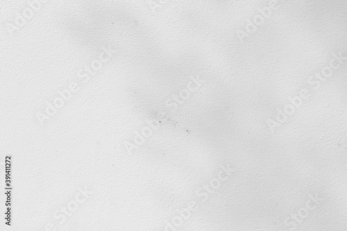 Wallpaper Mural Abstract shadows nature. Gray shadows trees leaf on white wall. Concept blurred background.White and Black.Texture shadows
 Torontodigital.ca