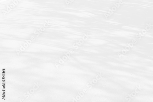 Abstract shadows nature. Gray shadows trees leaf on white wall. Concept blurred background.White and Black.Texture shadows 