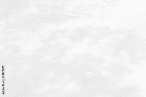 Abstract shadows nature. Gray shadows trees leaf on white wall. Concept blurred background.White and Black.Texture shadows 