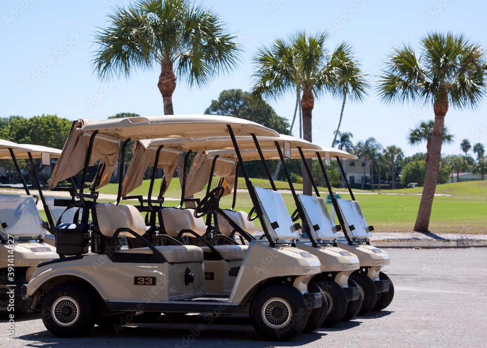 A row of empty golf carts with palm trees.