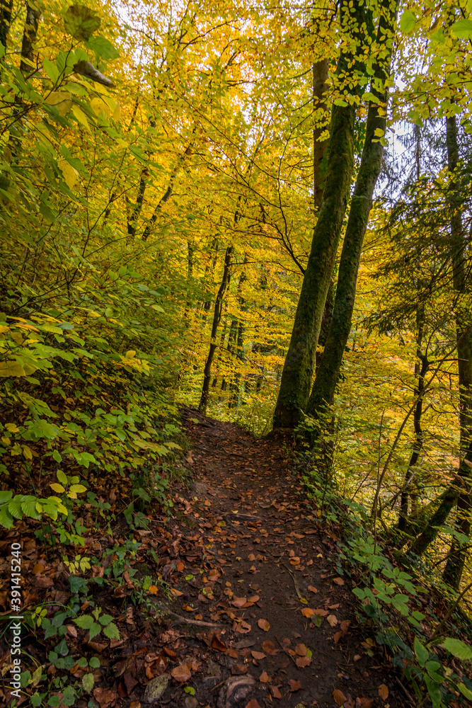 Fantastic autumn hike along the Aachtobel to the Hohenbodman observation tower Fantastic autumn hike along the Aachtobel to the Hohenbodman observation tower