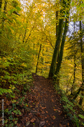 Fantastic autumn hike along the Aachtobel to the Hohenbodman observation tower