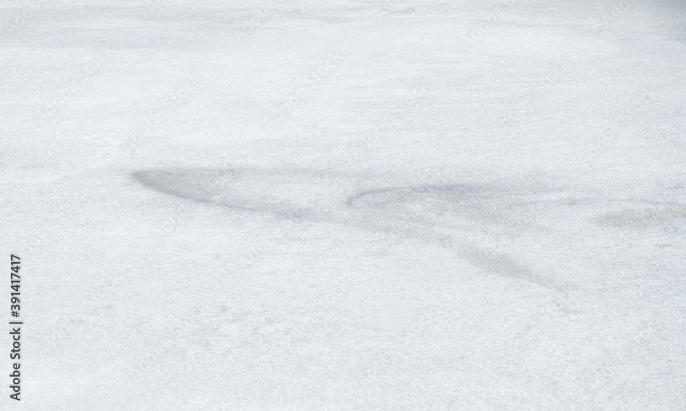 Obraz premium 池 氷 雪 冬