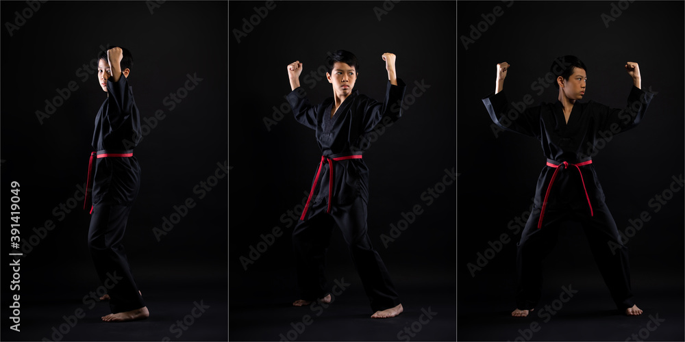 TaeKwonDo Karate teenager athlete kick punch black background isolated
