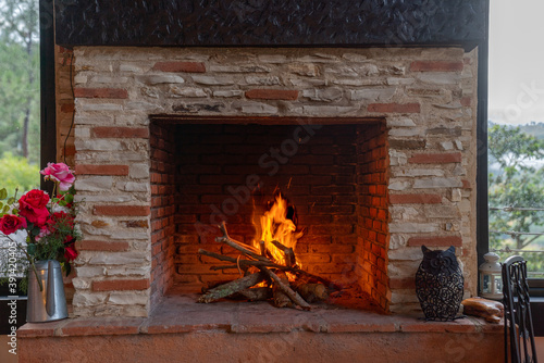 fireplace with burning logs