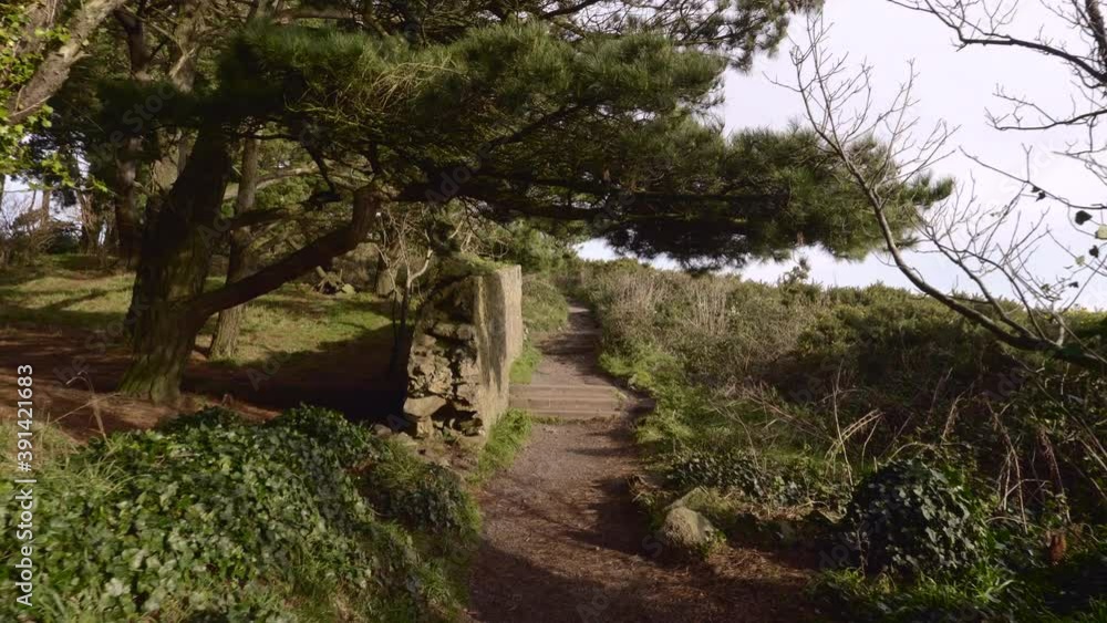 View Of A Trail On Lush Coastal Mountain On A Sunny Day In South Ireland - forward shot View Of A Trail On Lush Coastal Mountain On A Sunny Day In South Ireland - forward shot