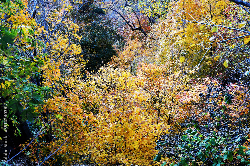 PALISADES INTERSTATE PARK, PALISADES NJ PALISADES INTERSTATE PARK, PALISADES NJ