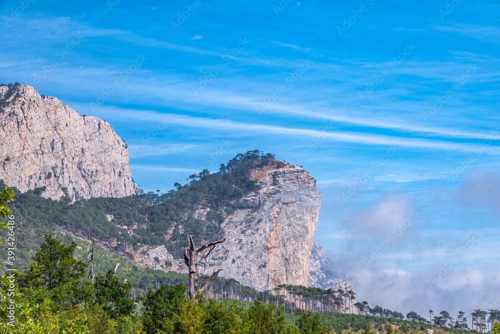 High stone rock and the forest on a hillside in the fog on blue sky background.
