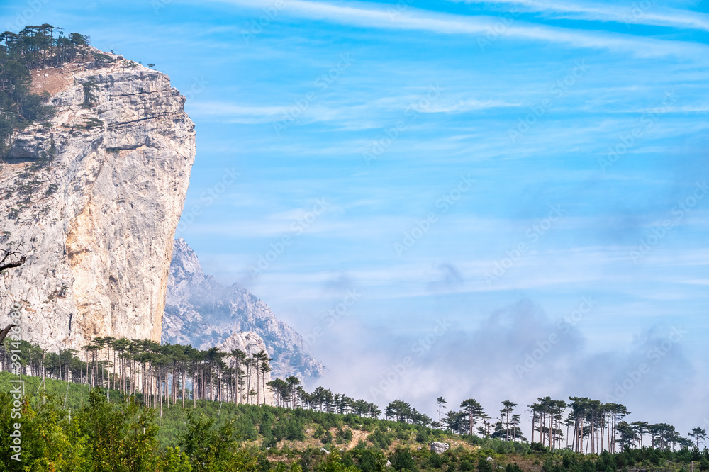 Naklejka premium High stone rock in the forest on a hillside in the fog.