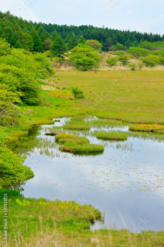 霧ヶ峰 八島ヶ原湿原