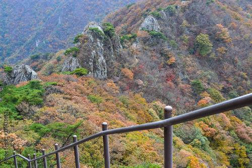 Beautiful autumn landscape in Gyeryongsan National Park, South Korea photo