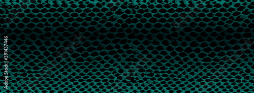 Snake skin texture.