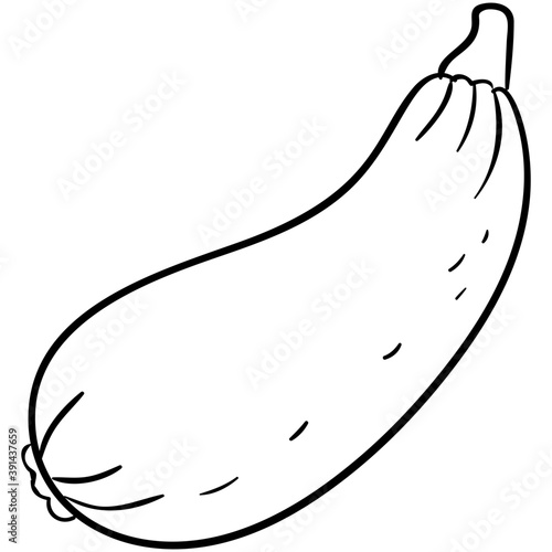 Bottle Gourd 