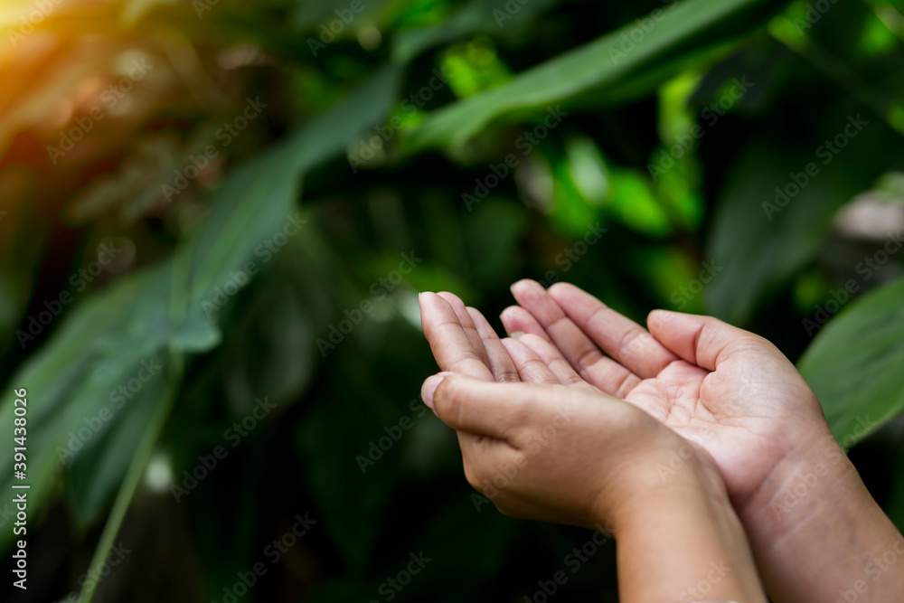 Technology, hand holding with environment Icons over the Network connection on green background. Technology, hand holding with environment Icons over the Network connection on green background.