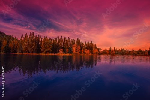 Blurred nature background view of naturally occurring trees and reflection on the water surface  the beauty of ecosystems at various vantage points.