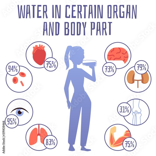 Water in certain organ and body part infographic banner flat vector illustration.