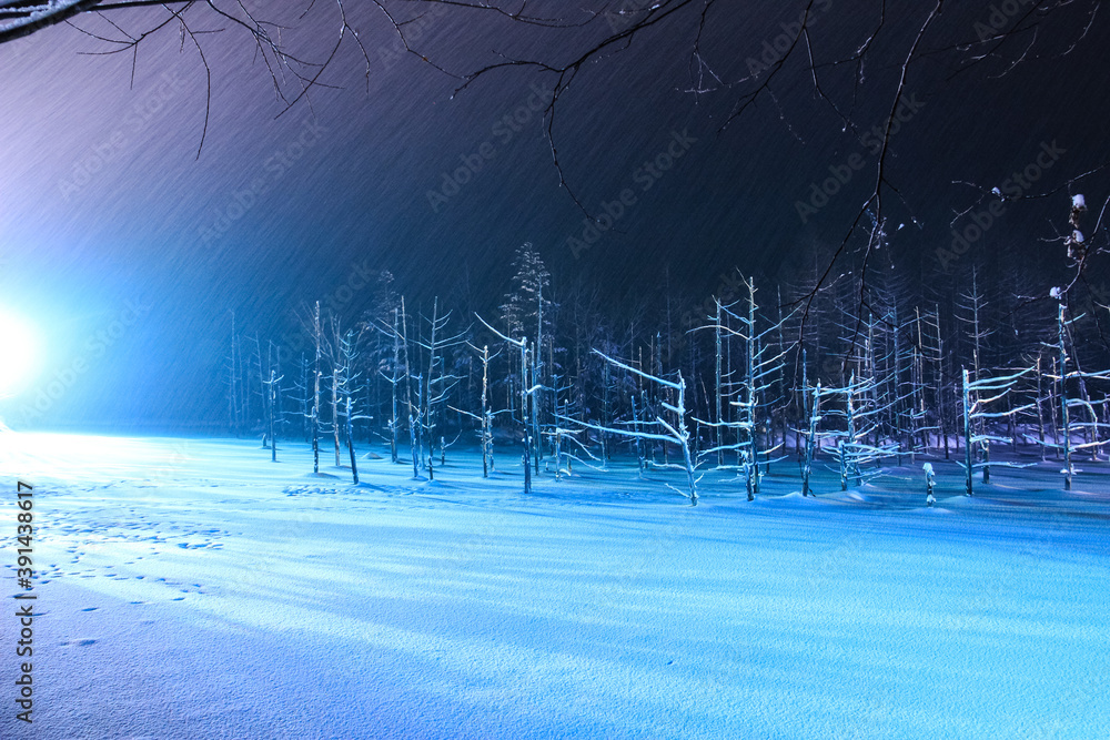 空 雲 朝日 あさ日 朝焼け 早朝 オレンジ色 赤色 太陽 昇 のぼる 山並み 海 植物 木 樹木 シルエット 海岸線 波 反射 オレンジ色の空 赤く染まる 晴れ 指宿 指宿市 九州 横位置 屋外 無人 壁紙素材 壁紙 壁紙背景 背景 背景素材 コピースペース 文字スペース テキスト 空 雲 朝日 あさ日 朝焼け 早朝 オレンジ色 赤色 太陽 昇 のぼる 山並み 海 植物 木 樹木 シルエット 海岸線 波 反射 オレンジ色の空 赤く染まる 晴れ 指宿 指宿市 九州 横位置 屋外 無人 壁紙素材 壁紙 壁紙背景 背景 背景素材 コピースペース 文字スペース テキスト
