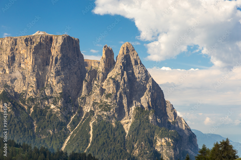 Auf der Seiser Alm, Alpe di Siusi, mit Blick auf den Schlern, Sciliar, Südtirol