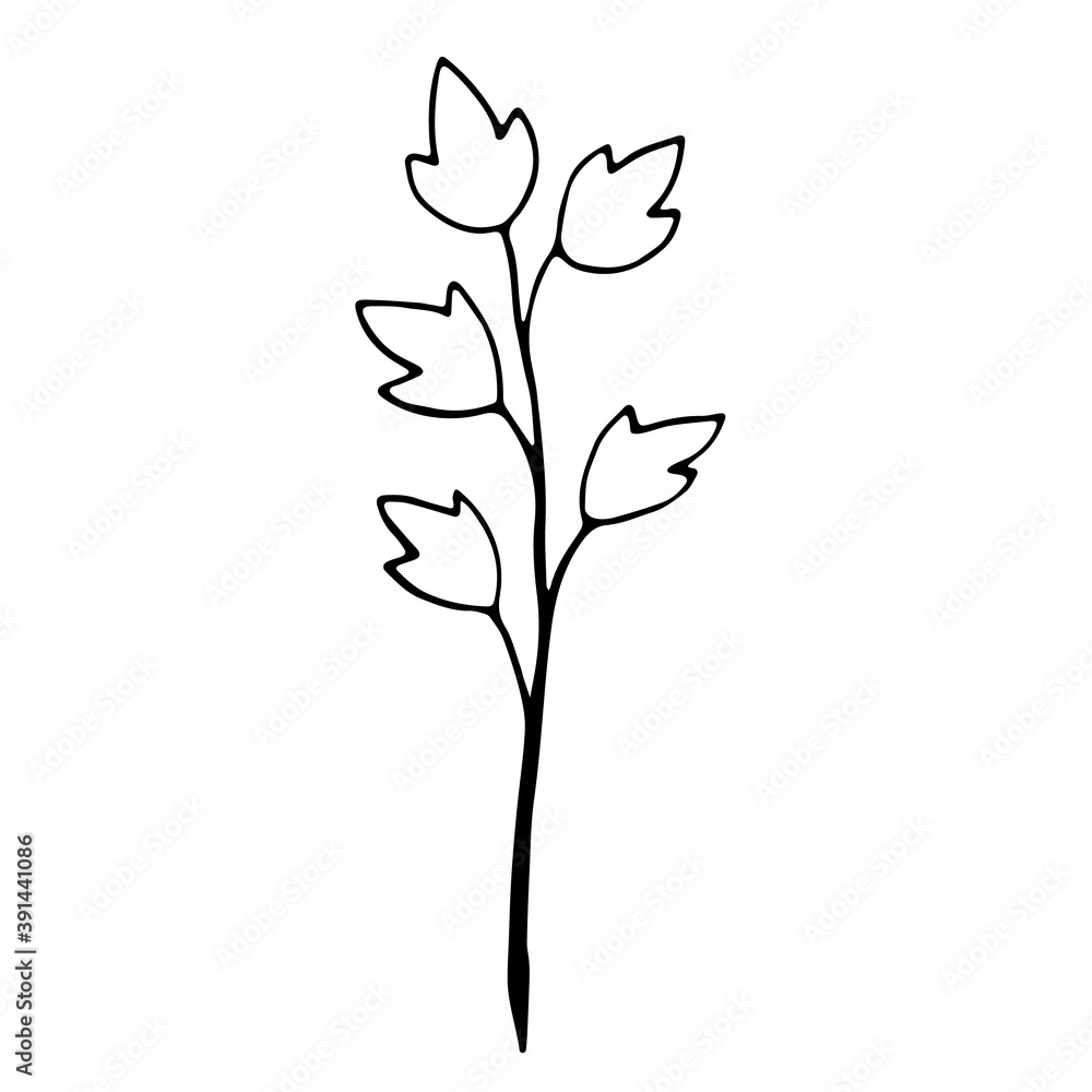 Fototapeta premium floral flower hand drawn doodle icon for social media story