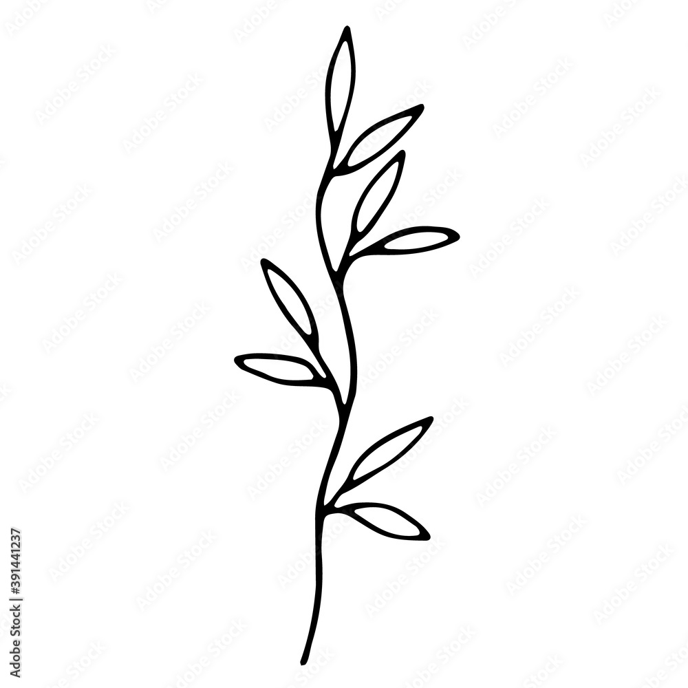 Fototapeta premium Single doodle leaf isolated on white