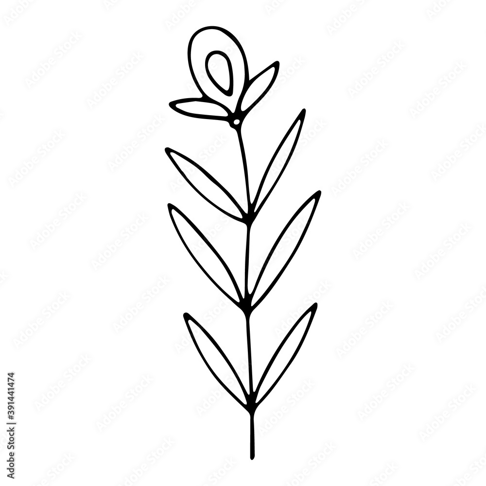 Vector floral illustration with branch Vector floral illustration with branch