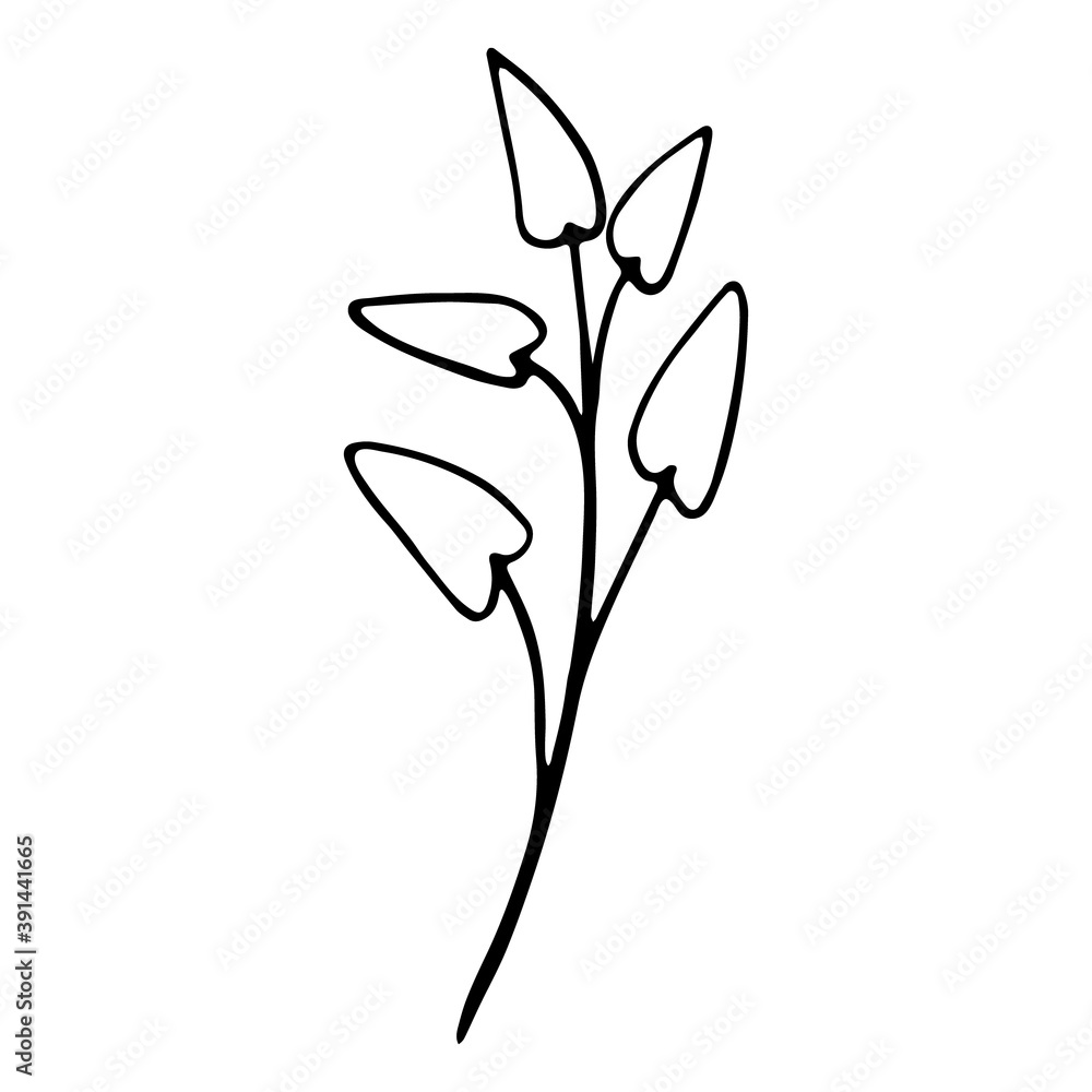 Floral sketch. Social media story floral element Floral sketch. Social media story floral element