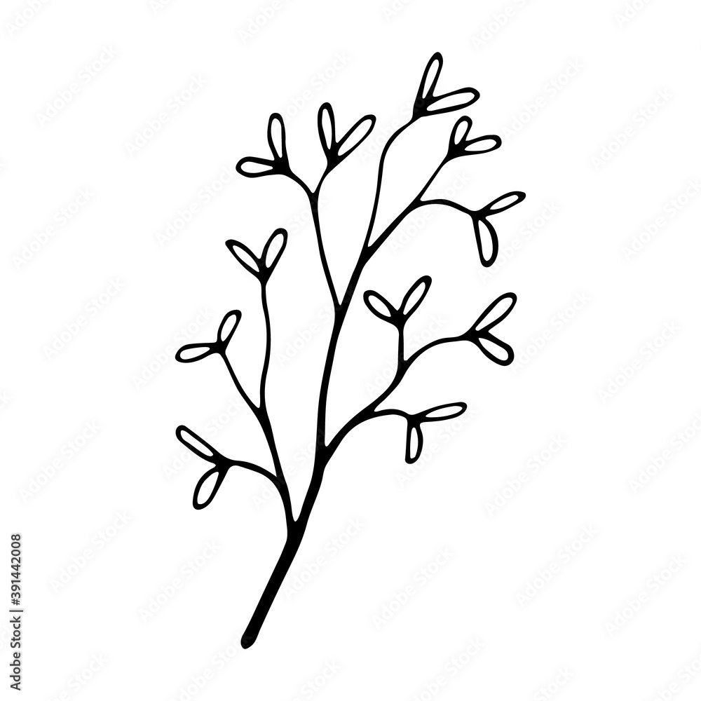 Single doodle leaf isolated on white Single doodle leaf isolated on white