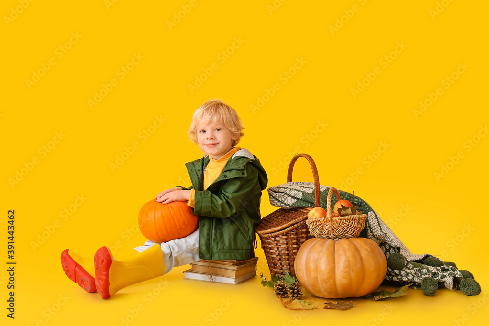 Fototapeta premium Cute little boy with autumn harvest on color background