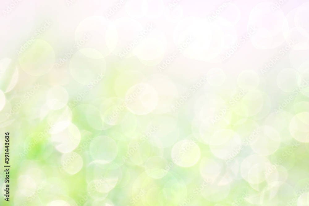 Abstract nature blur green garden and sunlight