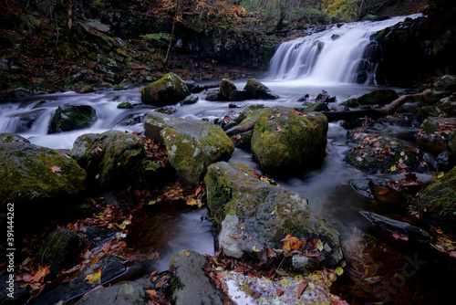 秋の紅葉した森の中の滝の風景 -日本、蓼科大滝