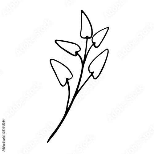 Wallpaper Mural Single doodle leaf isolated on white Torontodigital.ca