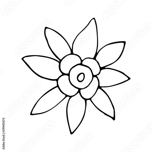 Floral hand drawn doodle icon for social media story