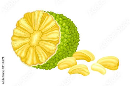 Ripe Jackfruit with Green Pimpled Shell and Fibrous Core Vector Illustration