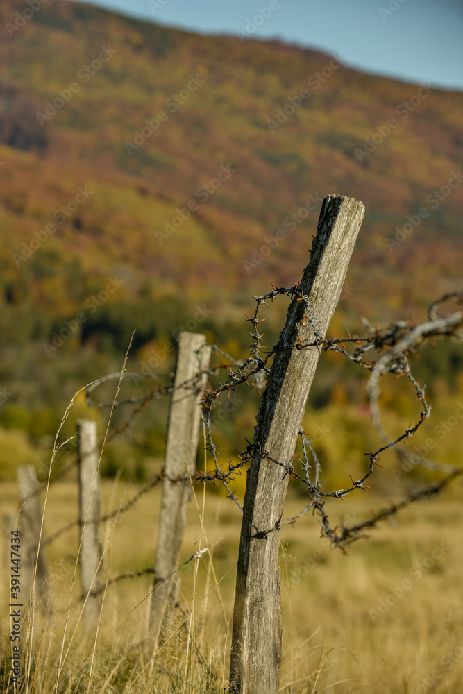 Fototapeta premium A razor wire fence at the countryside