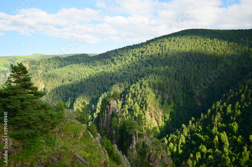 Panorama of high-mountainous gorge Dzhily-Su with mountain pine Pinus kochiana photo