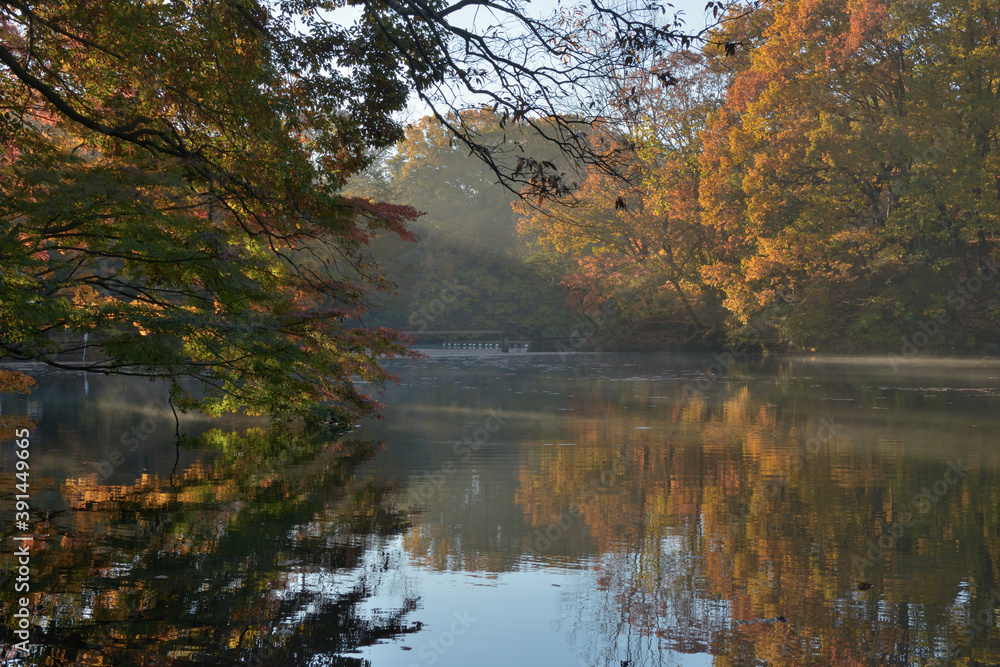 Fototapeta premium 震生湖の紅葉