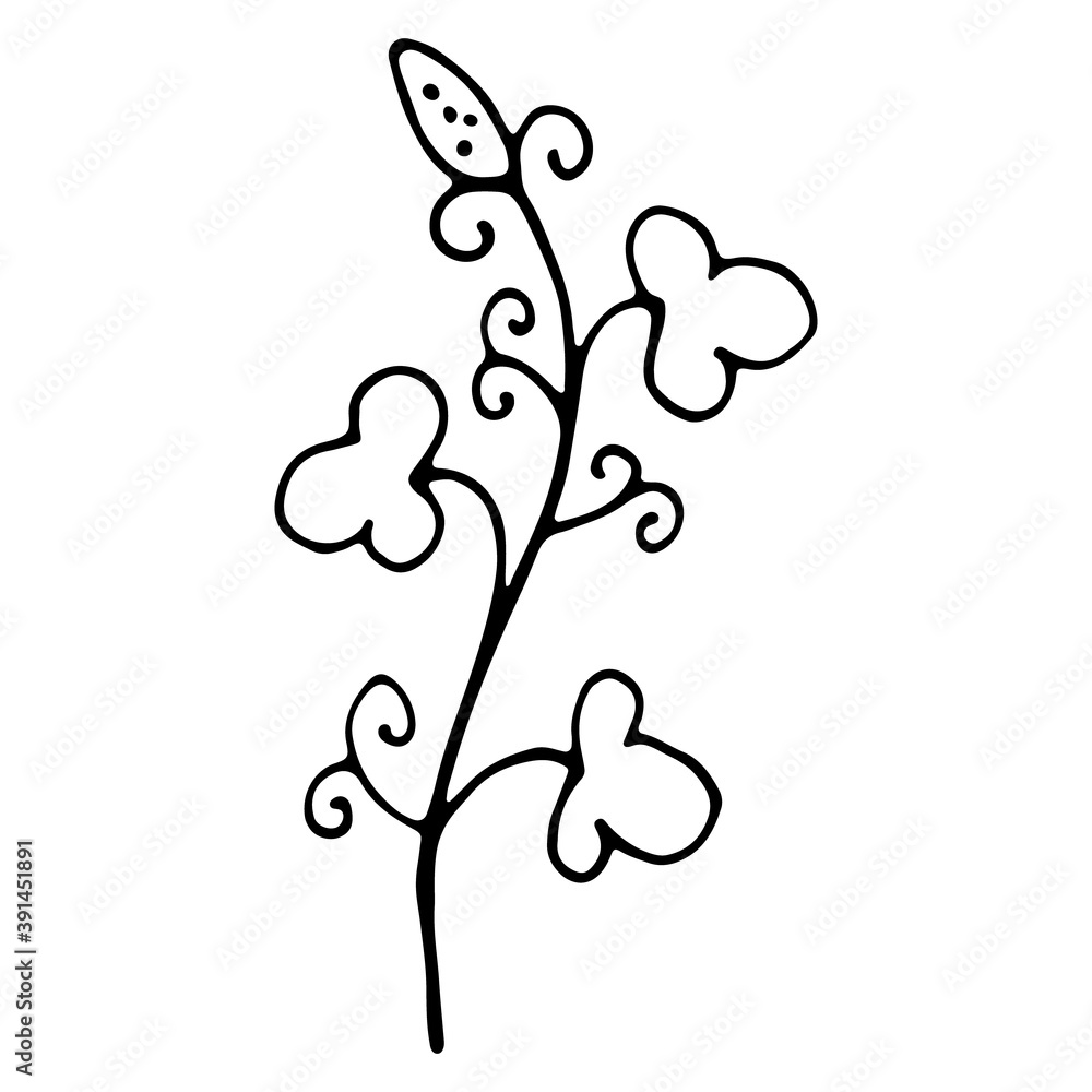 Hand Drawn vintage floral element