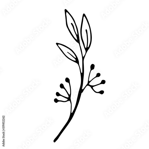 Floral hand drawn doodle icon for social media story. Ink drawn branch © ARTvektor