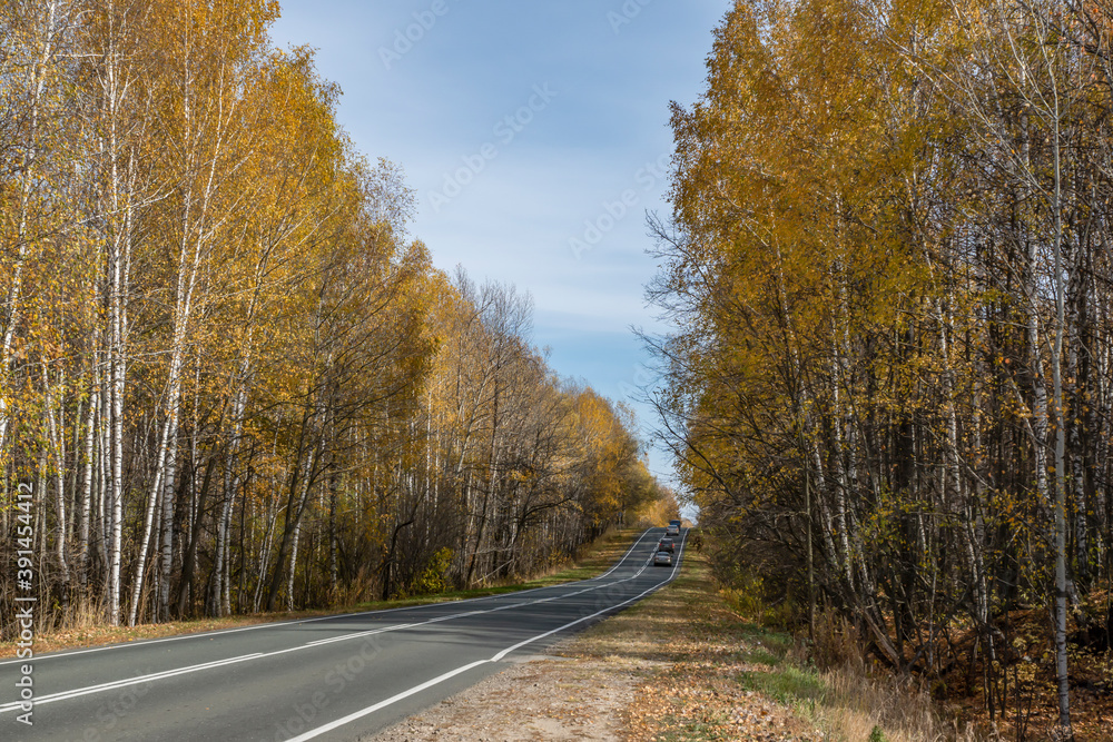 Golden, autumn, October, day, sky, clouds, nature, walk, ride, journey, forest, trees, yellow, foliage, withered, grass, road, highway, roadside, distance, space, horizon, light, shadow, bright, color Golden, autumn, October, day, sky, clouds, nature, walk, ride, journey, forest, trees, yellow, foliage, withered, grass, road, highway, roadside, distance, space, horizon, light, shadow, bright, color