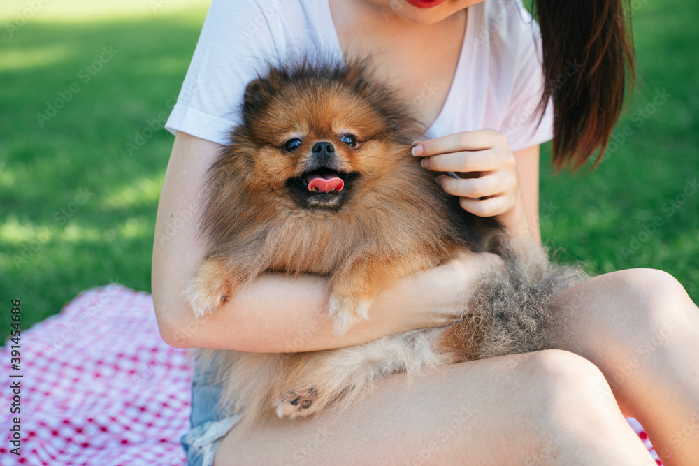 Portrait of owner and pomeranian spitz dog at park.